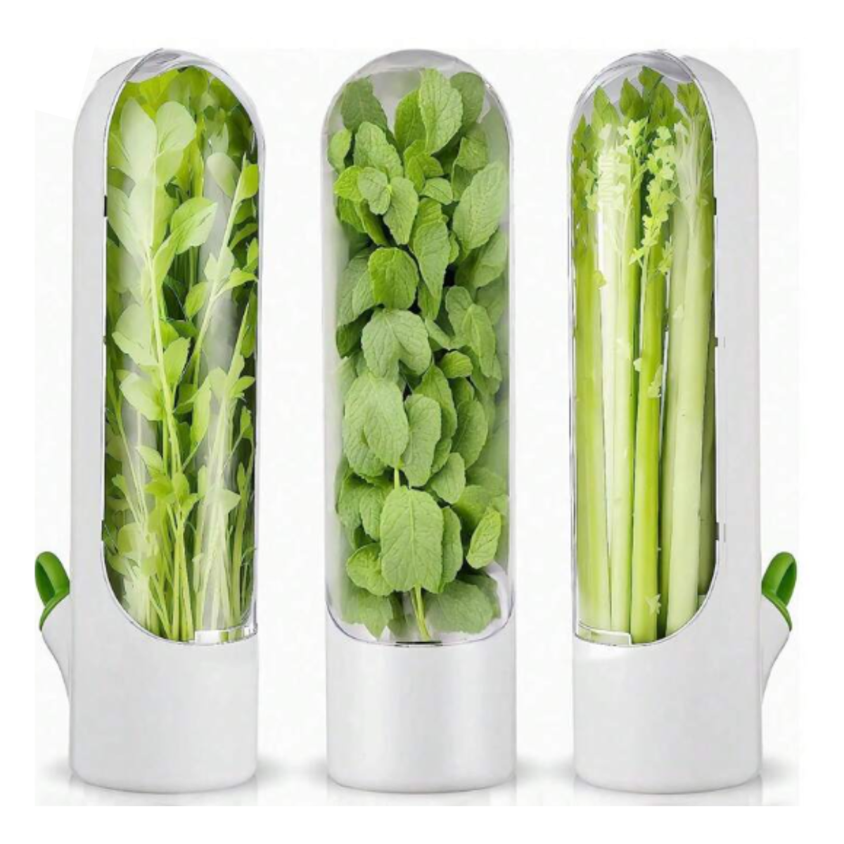 Miniatura 2 de Conservador de verdura pd-78